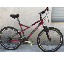velosopēds lietots Giant mtb