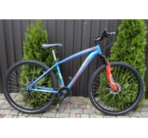 Hogan DX  R29