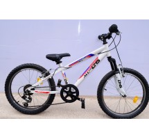 pusaužu velosipeds Dhs classic R20