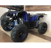 Atv 125 4T Motors claasic PRO Atv 125 4T Motors claasic PRO