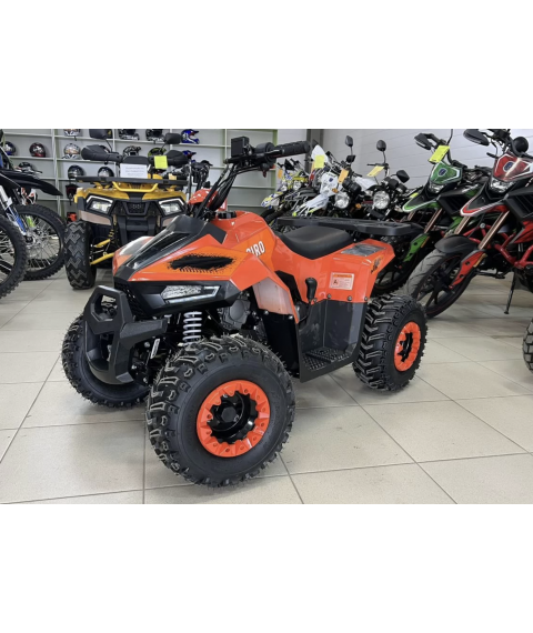 Atv 125 classic pro