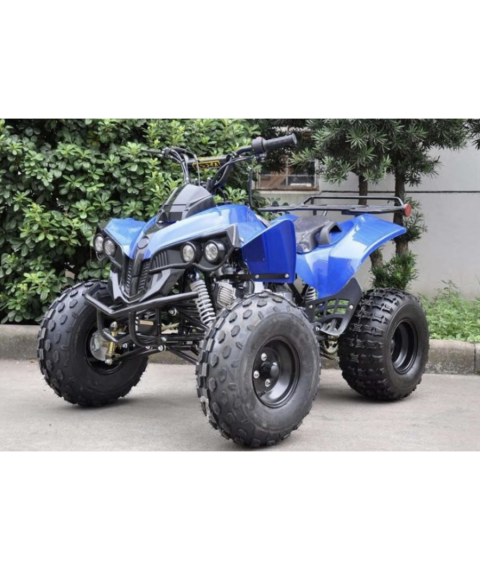 Atv 125 Outlander X
