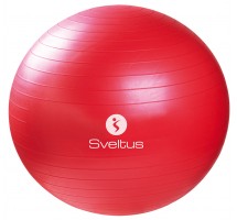 Gym ball SVELTUS Anti burst  65 cm red + package