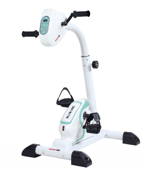 Exercise bike EVERFIT mini WELLY E COMBI