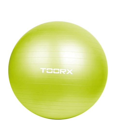 Toorx Gym ball AHF-012 D65cm with pump