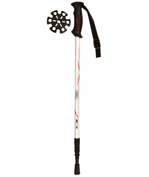 Walking sticks NORDIC WALKING HIKING CANE ADJUSTABLE  ANTI SHOCK 21SU ZIR Silver/Red/Black
