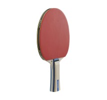 TABLE TENNIS - Table tennis bat Dunlop RAGE Table tennis bat Dunlop RAGE