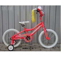 Prosp  Lady R16